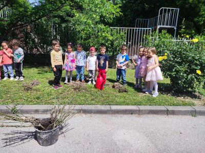 Трета група " Симба " 10